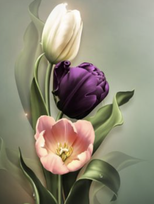 Három tulipán