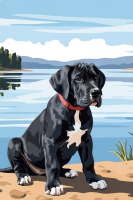Kutyaportré - Német Dog kiskutya a tónál – 25-907